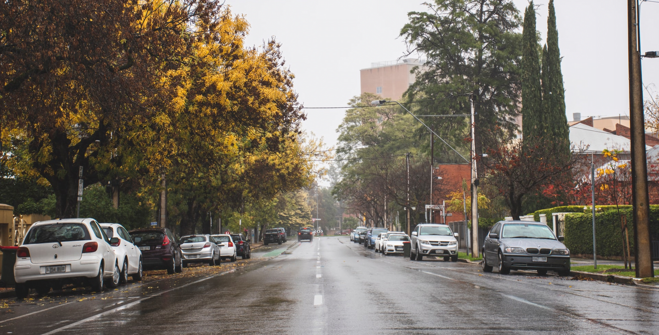 Photo of an Adelaide city street lined with parked cars and trees. There is a tall building in the background and it is raining