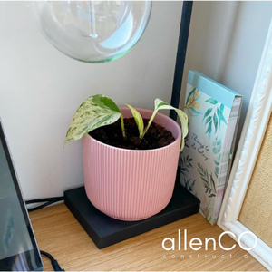 Pink plant pot on an office desk